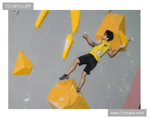 杭州攀岩队与武汉攀岩队速度对决赛后分析与总结